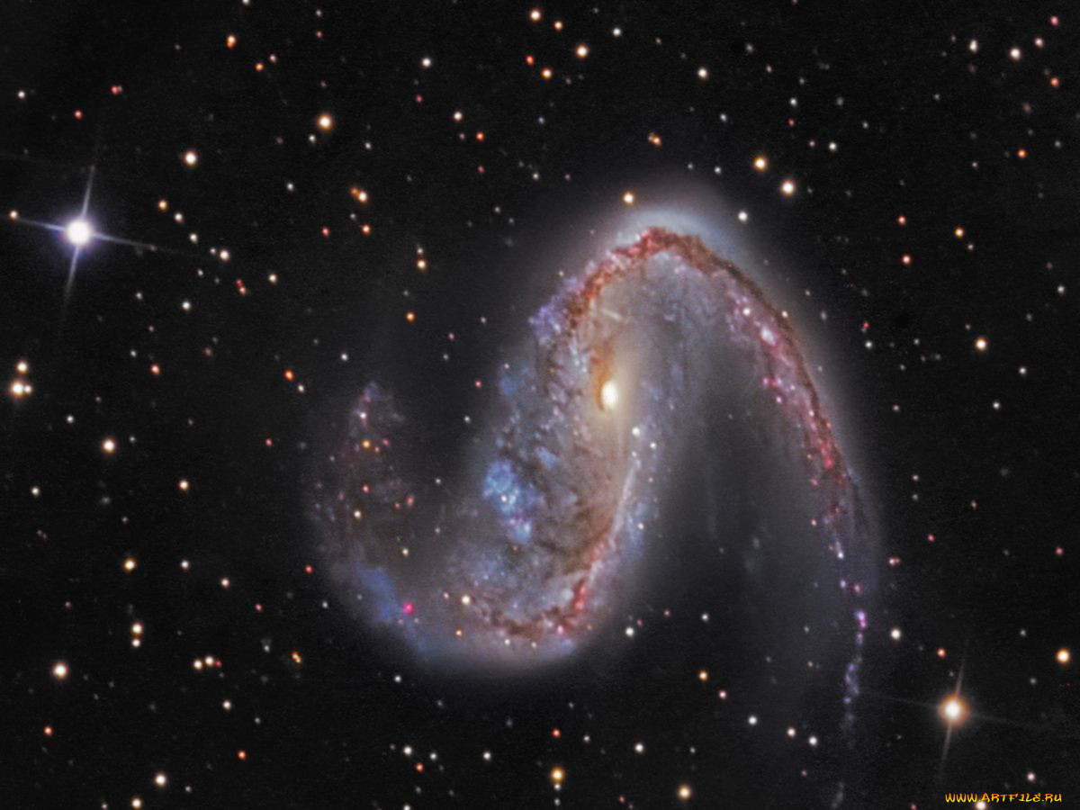 ngc, 2442, , , 